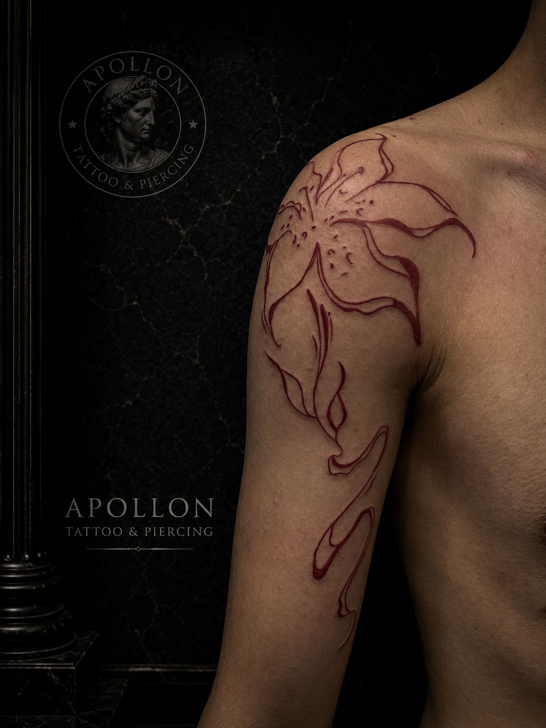 Apollon Tattoo Özel Tasarım Dövme Çalışması
